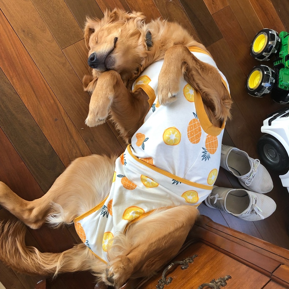 DONATED (PACK OF 2!! Surgical Suit from Amazon)